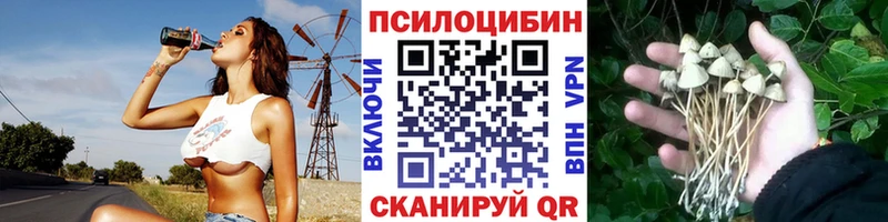 купить наркотик  Клин  Псилоцибиновые грибы Psilocybe 